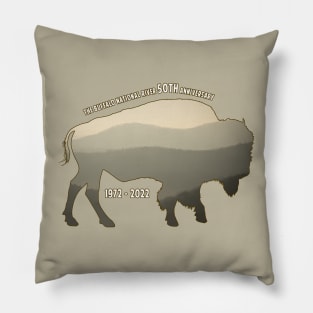 The Buffalo National River 50th Anniversary Design Pillow