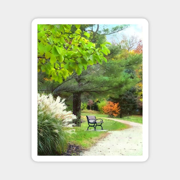 Ornamental Grass in Autumn Park Magnet by SusanSavad