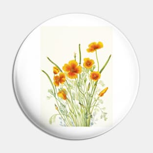 Mexican Gold Poppy - Botanical Illustration Pin