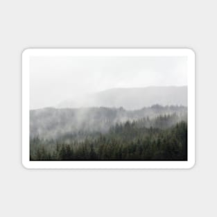 Mist and rain floats across trees in the Scottish Highlands Magnet