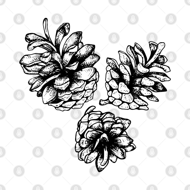 Three Pine Cones by illucalliart