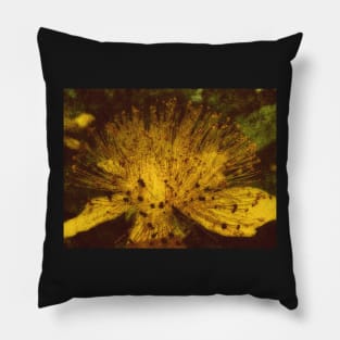 A Flower Light In The Dark Pillow