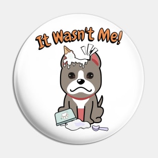 It wasnt me - grey dog Pin