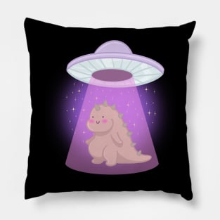 Abduction Pillow