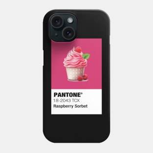 Raspberry Sorbet ice cream Phone Case