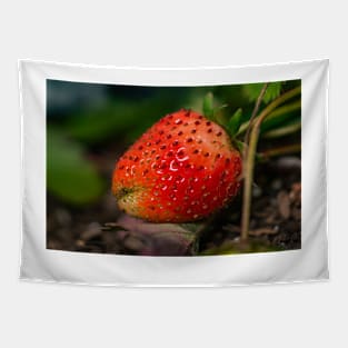 Strawberry 3 Tapestry