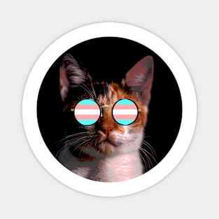 Cute Cat with Glasses Flag Magnet