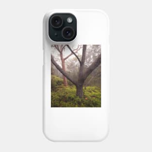 Trees in Mist Phone Case