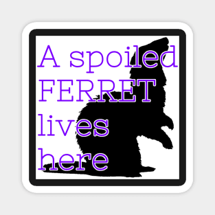 A Spoiled Ferret Lives Here Magnet