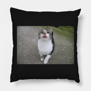 Lady Lucy Pillow