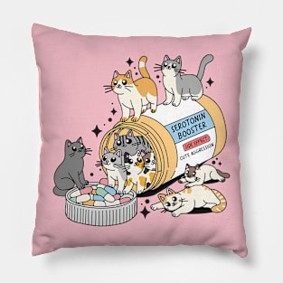 Funny Cats Pillow