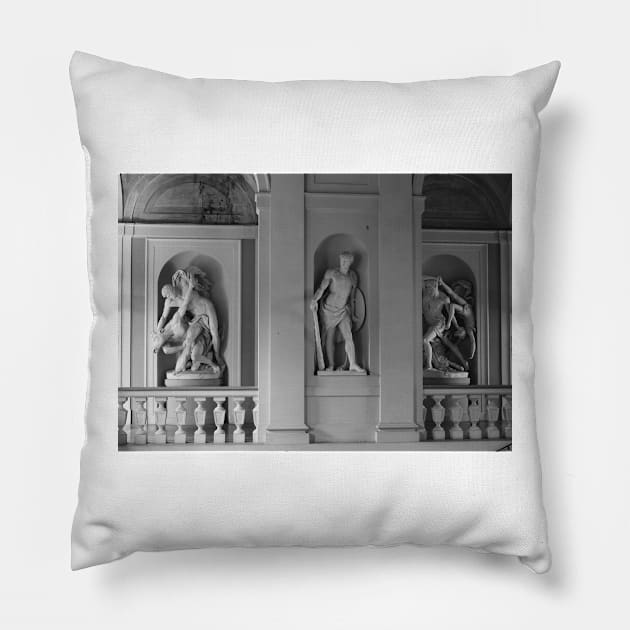 Bologna University Statues III. Italy 2011 Pillow by IgorPozdnyakov