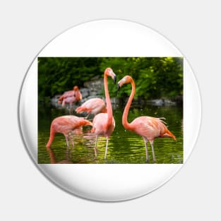 Flamingo Love Pin