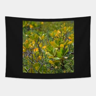 Beach Mangrove Tapestry