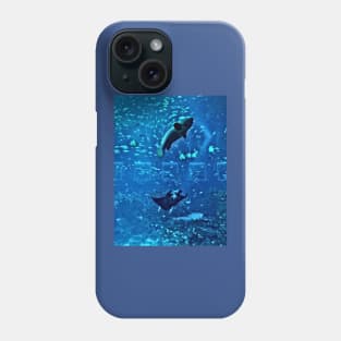 THE PELAGIC WINDOW Phone Case