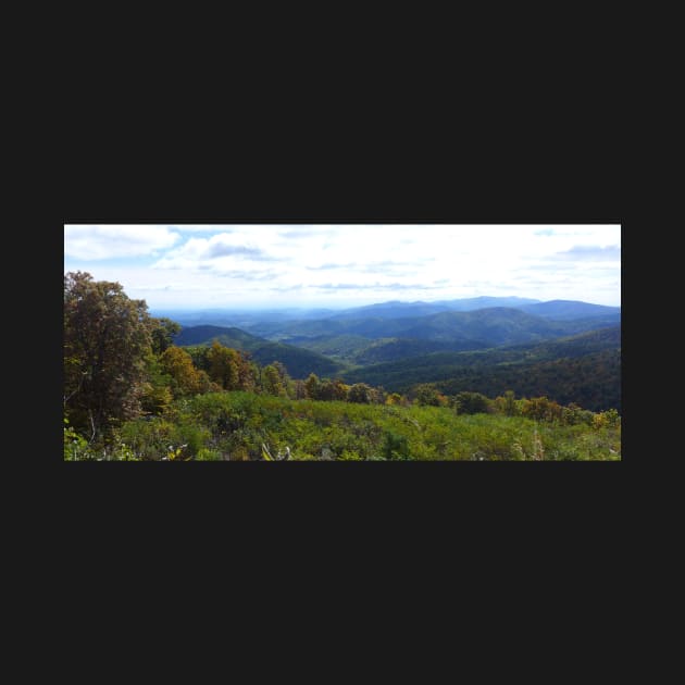 Shenandoah National Park Panorama by Sandraartist