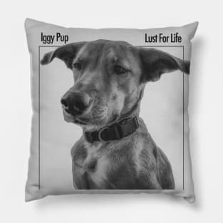 Iggy Pup: Lust for Life Pillow