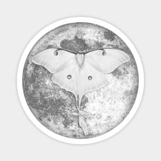 Moon Moth Magnet