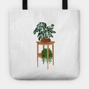 House plants collection 9.1 Tote