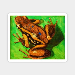 Poison Dart Arrow Frog--Speckled Orange Magnet