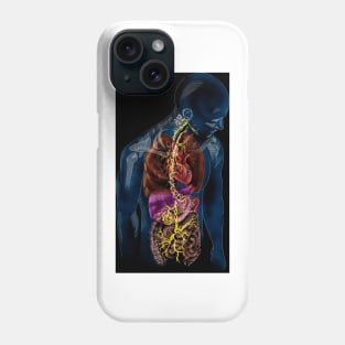 Vagus nerve anatomy, illustration (C037/4895) Phone Case