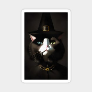 Cat witch with blue and green eyes Magnet