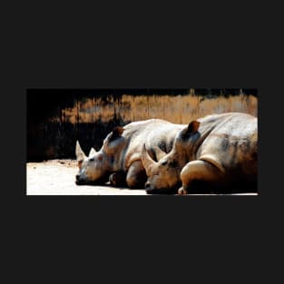 Rhinos at Rest T-Shirt