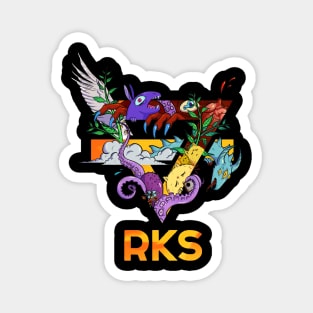 RKS12 Magnet