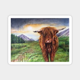 Highland Cow ‘Bruce’ Magnet