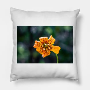 Tiger lily flower Pillow