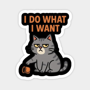 I Do What I Want Magnet