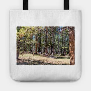 Magdalene Woods Walk - Contemplative Walk Tote