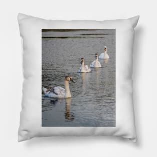 Family outing Pillow