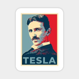 Nikola Tesla Magnet