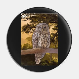 Tawny Owl Artwork Pin