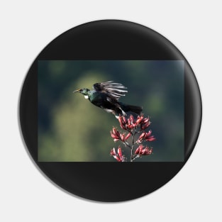 A Boisterous Beauty - Tui Pin