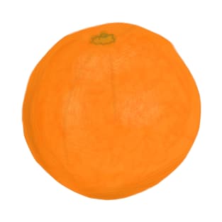 orange fruit T-Shirt