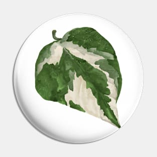 Pothos Glacier leaf Pin