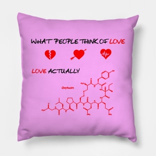 The Chemistry of Love Pillow