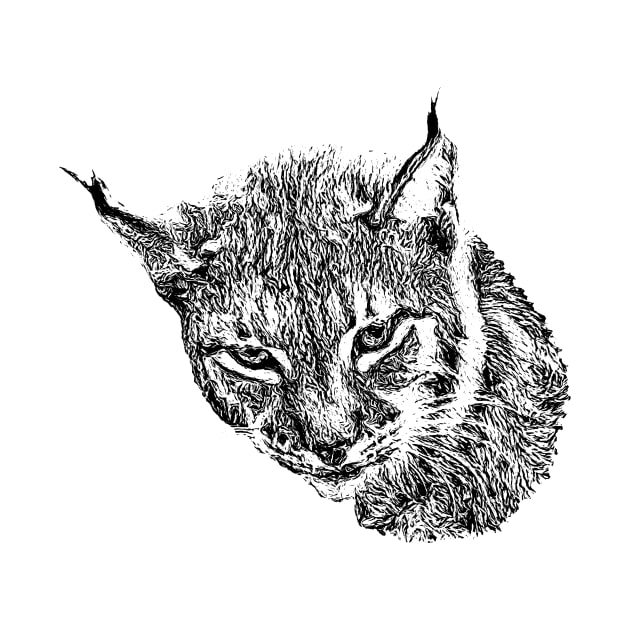 Lynx by Guardi