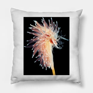 Sea slug (C021/6812) Pillow