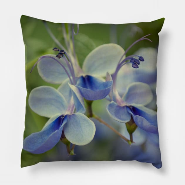 Unique Blue Flower with green leaves nature lovers beautiful photography design Pillow by BoogieCreates