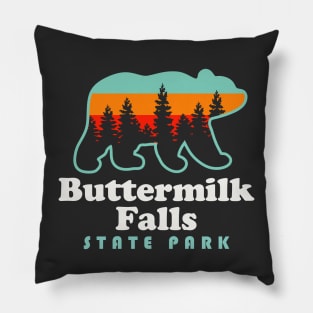 Buttermilk Falls State Park Ithaca New York Bear Pillow