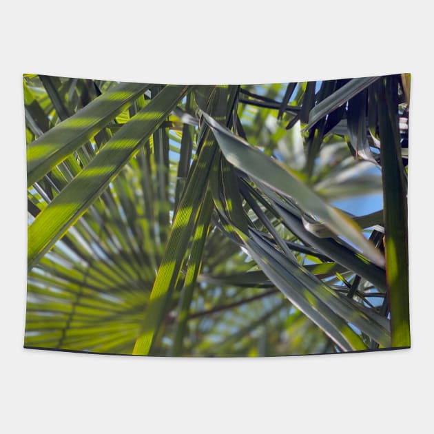 Palm Tree in Spring Tapestry by Nicholas Lee