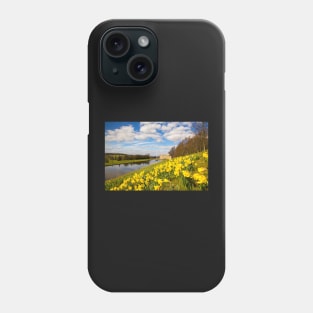 Springtime daffodils at Chatsworth, Derbyshire, UK Phone Case