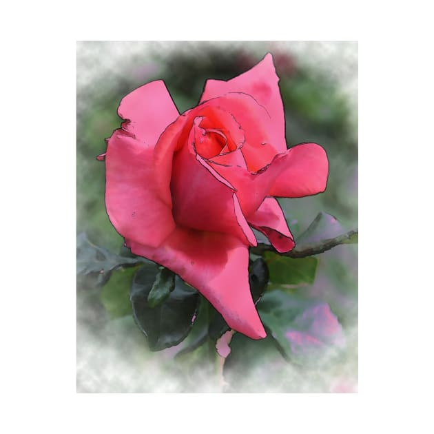 Red Rose Bud In Watercolor by KirtTisdale