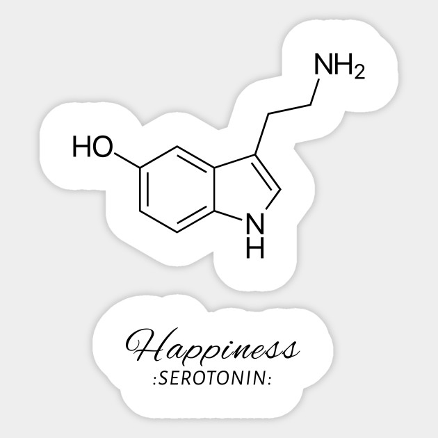 Serotonin Happiness Serotonin Happy Funny Life Sticker