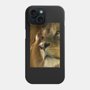 Lion head close-up Phone Case