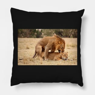 "Nibble, Nibble".  Lions Copulating, Maasai Mara, Kenya Pillow