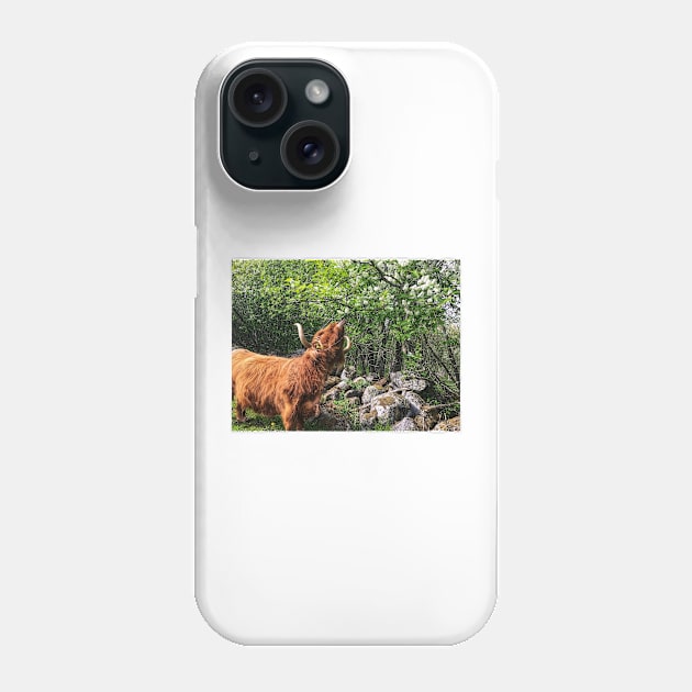 Scottish Highland Cattle Cow 2405 Phone Case by SaarelaHighland